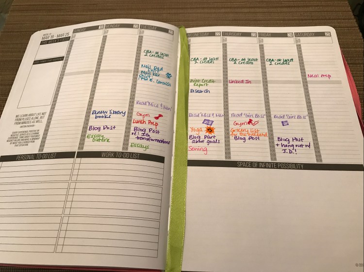 Filled In Passion Planner